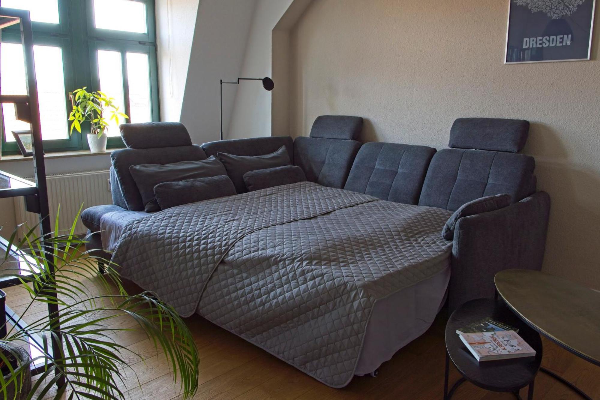 Neustadt-Aussicht - Grosse Wohnung Mit Balkon Dresden Buitenkant foto